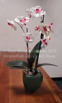 Orchids in a Pot by Slava Khodak-Gelman
