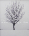Tree by Luu Nguyen