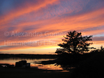 Sunset over Tenant's Harbot (Maine) by Alexandra Gomes