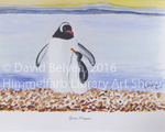 Gentoo Penguins by David A. Belyea