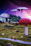 Mushroom Forest by Caitlin Horn