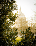 U.S. Capitol Peeking Through by Bilal Ahmed