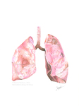 Lungs by Aparna Nanduru